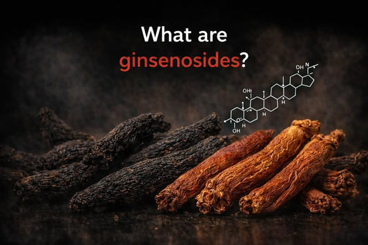 How does Korjin help restore vitality?