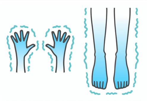 Does Korean Ginseng Help Warm Cold Hands and Feet?